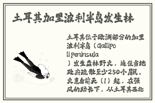 成都搡BBBB搡BBBB